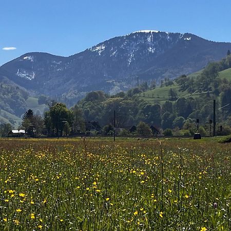 Gaestezimmer Münstertal Екстериор снимка